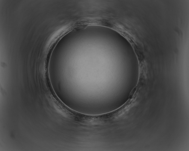 X0000090960293200708021422