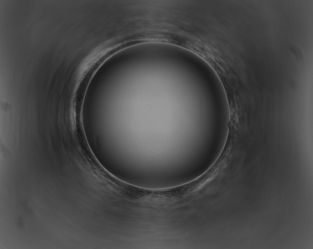 X0000090960294200708021422