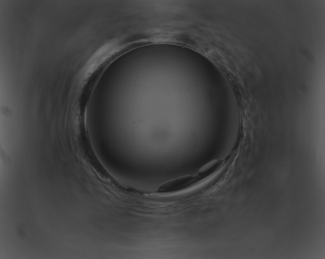 X0000090960295200708021422