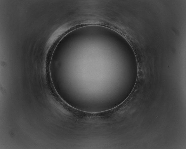 X0000090960296200708021422