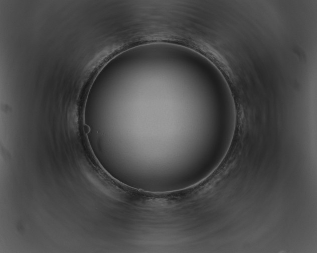X0000090960298200708021422