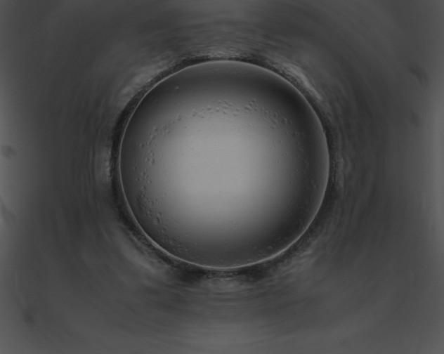 X0000090960299200708021422