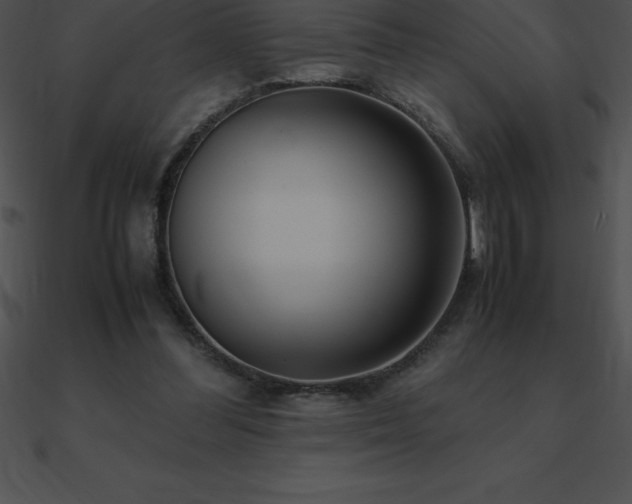 X0000090960300200708021422