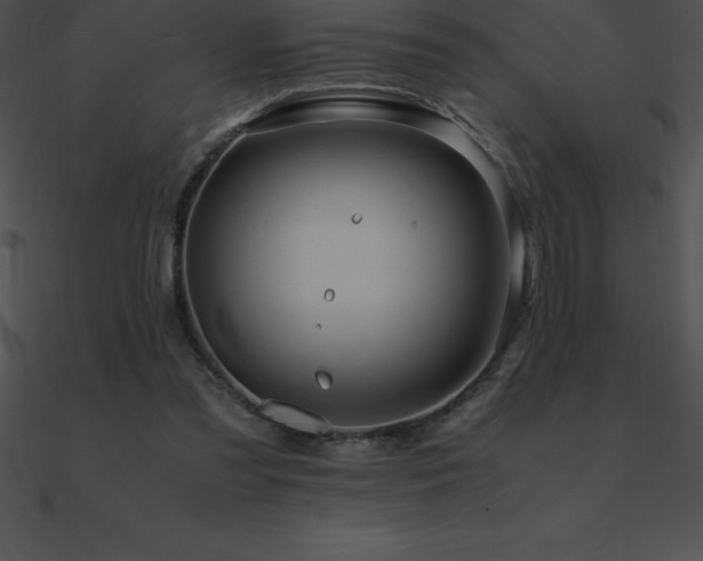 X0000090960301200708021422