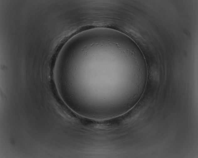 X0000090960303200708021422