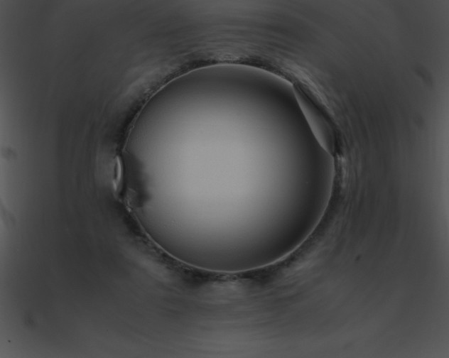 X0000090960307200708021421