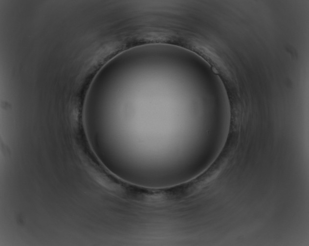 X0000090960309200708021421