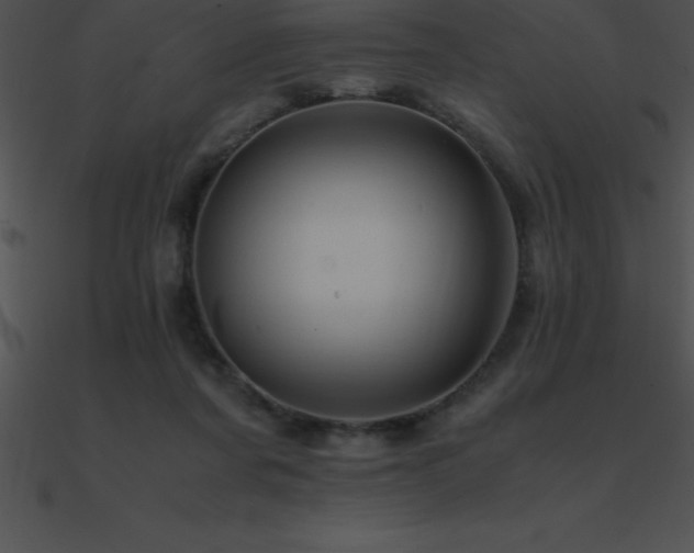 X0000090960311200708021421