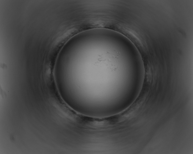 X0000090960314200708021421