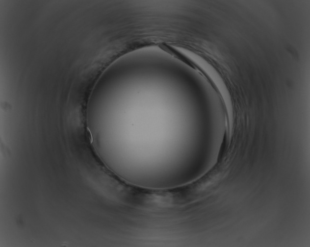 X0000090960317200708021421