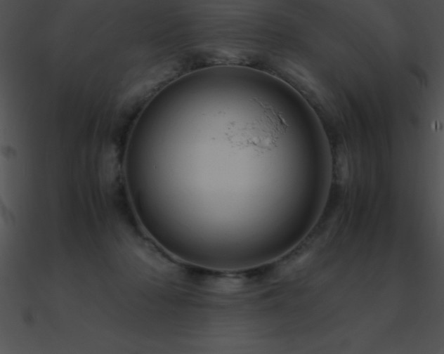 X0000090960318200708021421