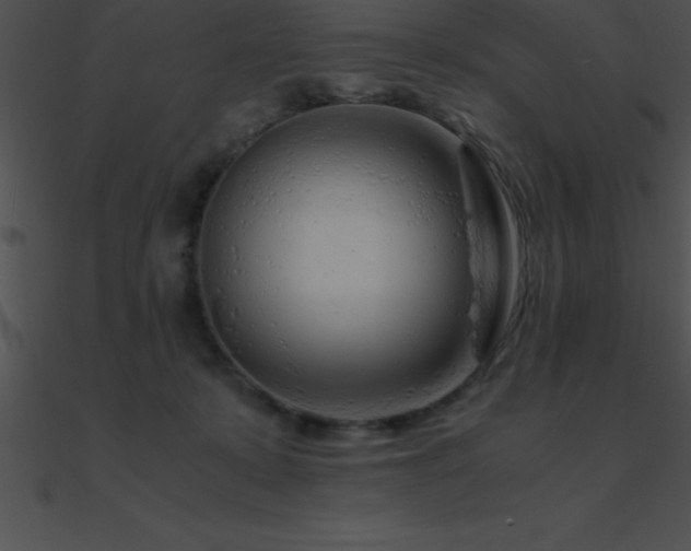 X0000090960319200708021421