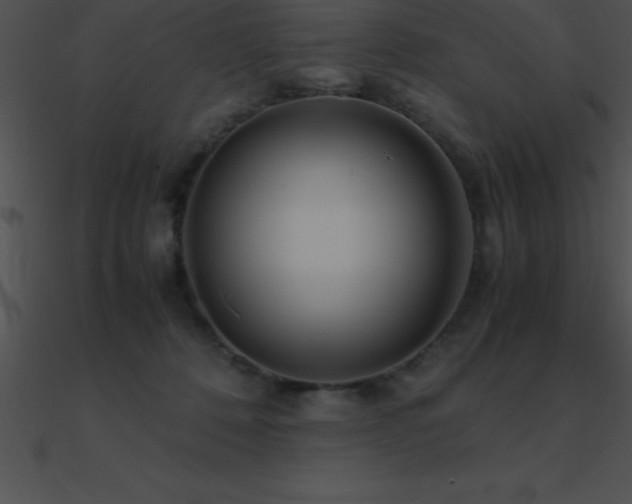 X0000090960320200708021421