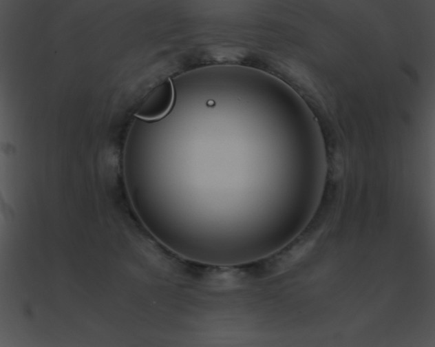 X0000090960321200708021421