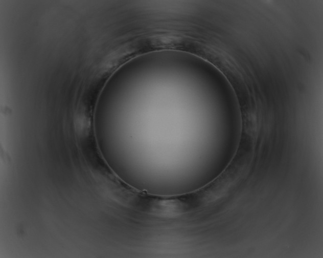 X0000090960324200708021421