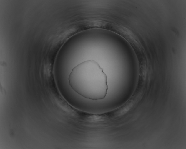 X0000090960326200708021421
