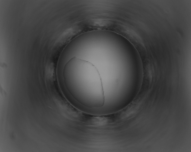 X0000090960328200708021421