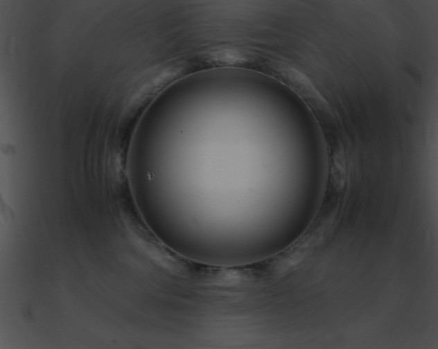 X0000090960330200708021421