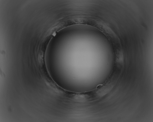 X0000090960332200708021421
