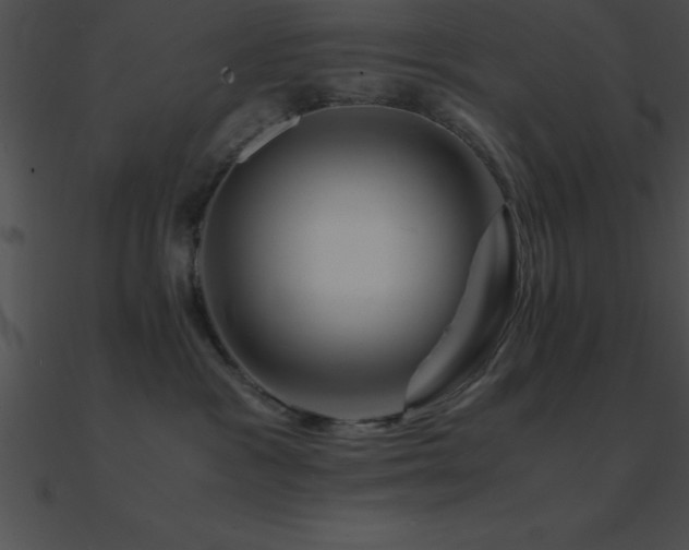 X0000090960333200708021421