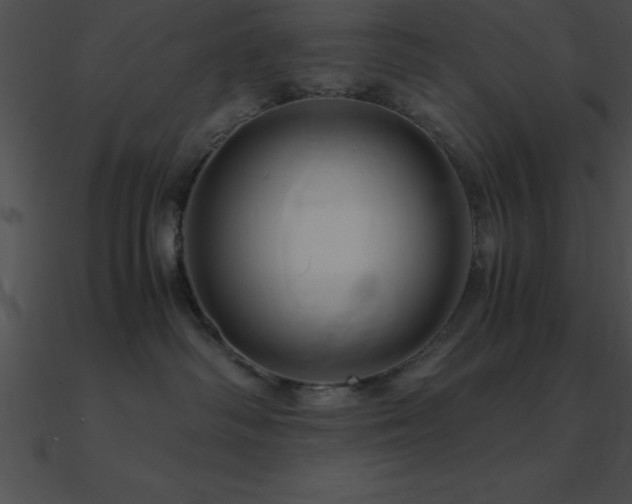 X0000090960334200708021421