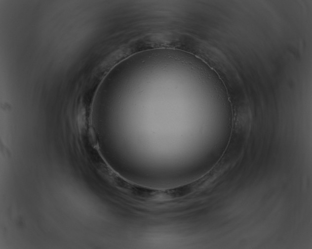X0000090960335200708021421