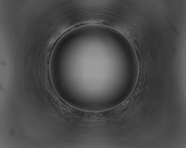 X0000090960337200708021420