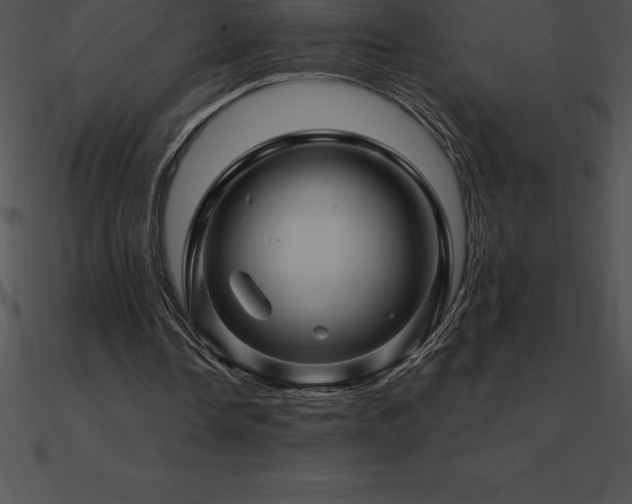 X0000090960338200708021420