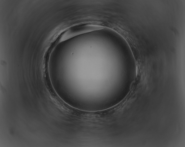 X0000090960339200708021420