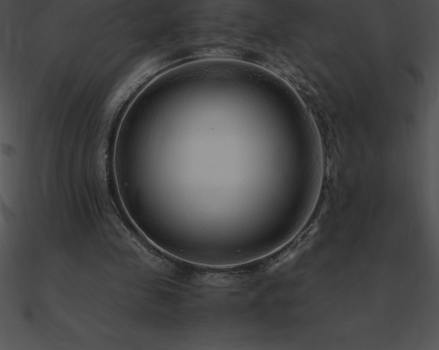 X0000090960341200708021421