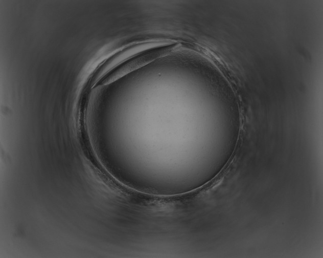 X0000090960343200708021421