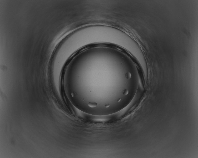 X0000090960344200708021421