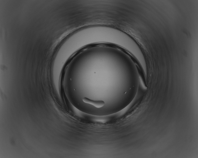 X0000090960348200708021421