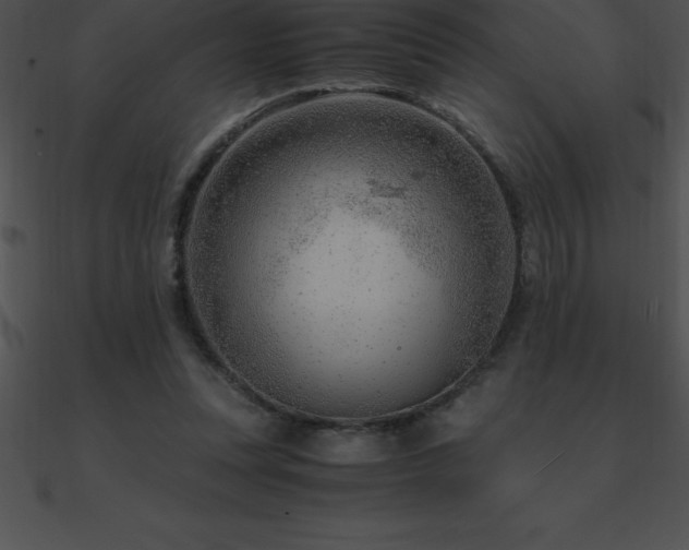X0000090960351200708021421