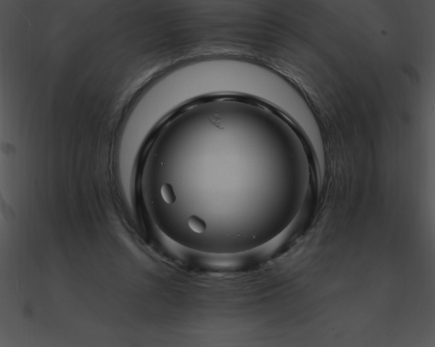 X0000090960352200708021421