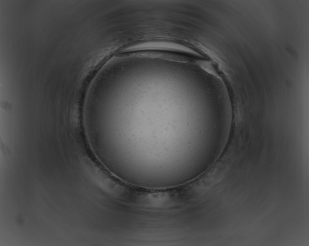 X0000090960353200708021421