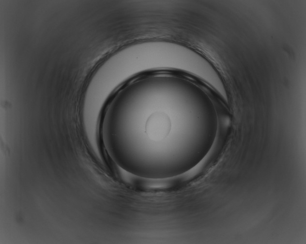 X0000090960354200708021421