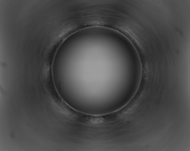 X0000090960355200708021421