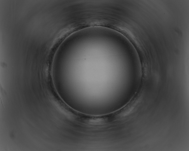 X0000090960357200708021421