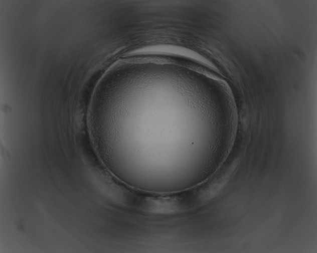 X0000090960359200708021421