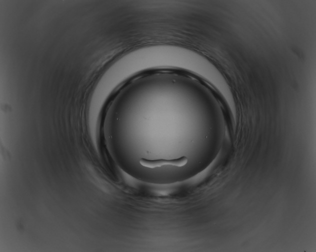 X0000090960360200708021421