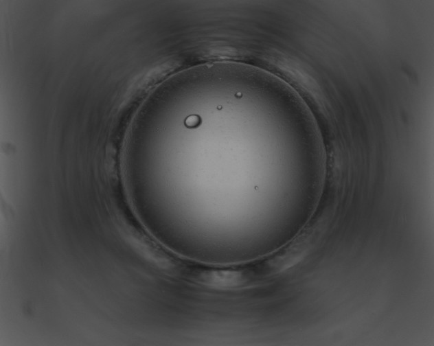 X0000090960361200708021421