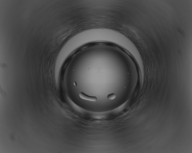 X0000090960364200708021421