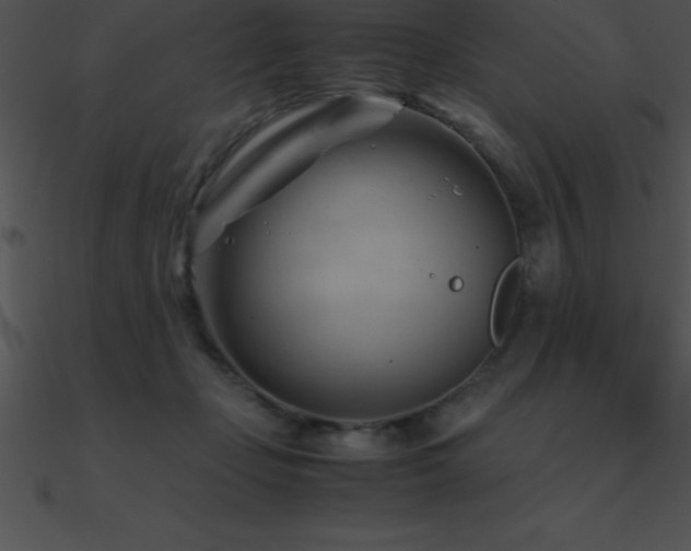 X0000090960365200708021421