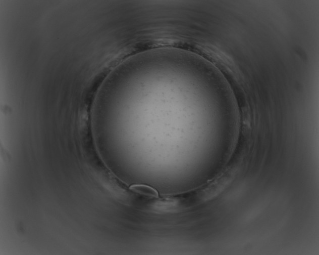 X0000090960369200708021421
