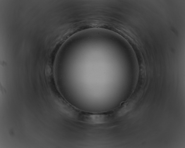 X0000090960371200708021421
