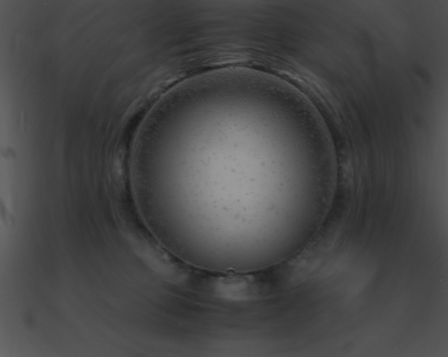 X0000090960373200708021421