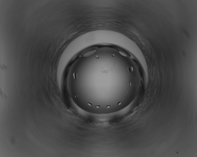 X0000090960374200708021421