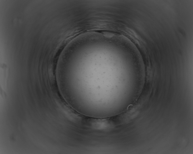 X0000090960377200708021421