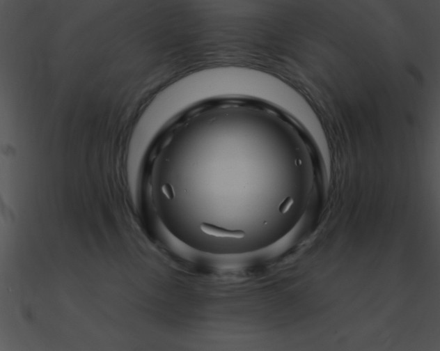 X0000090960378200708021421